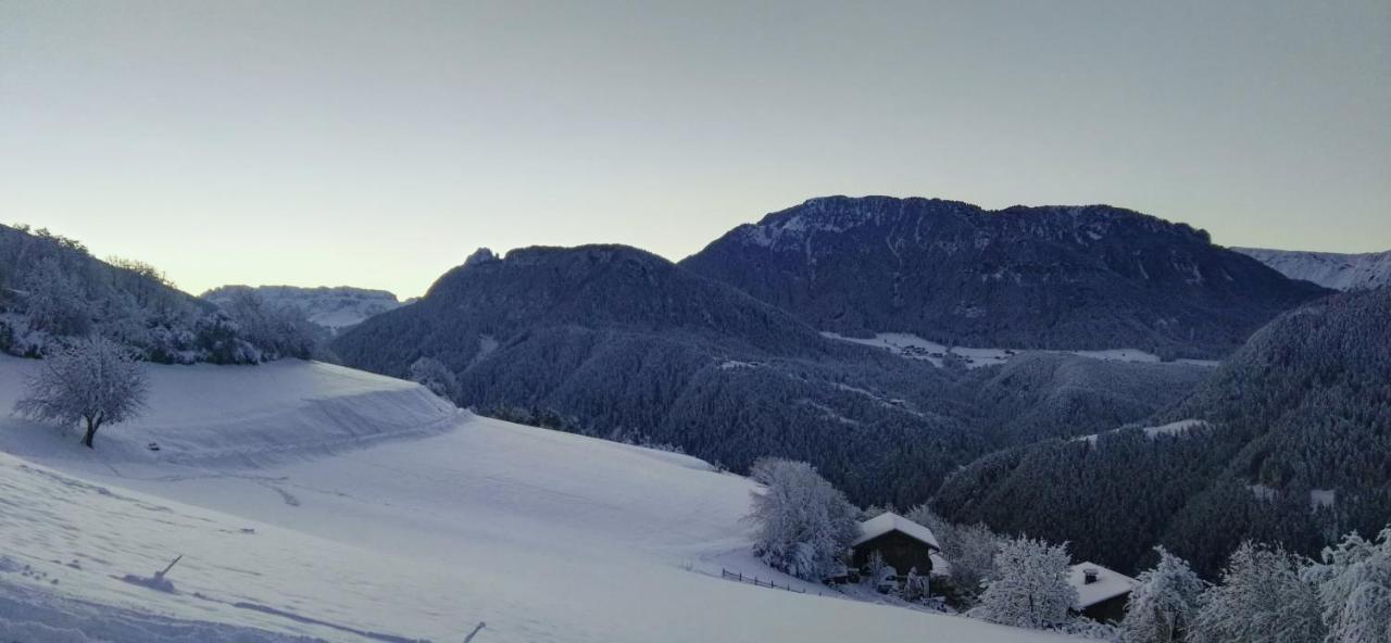 Alpine Chalet Aurora Dolomites Laion Exterior foto